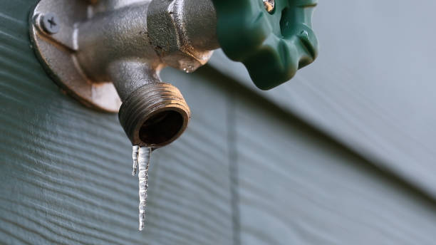 Best Drain Cleaning Services  in Visalia, CA